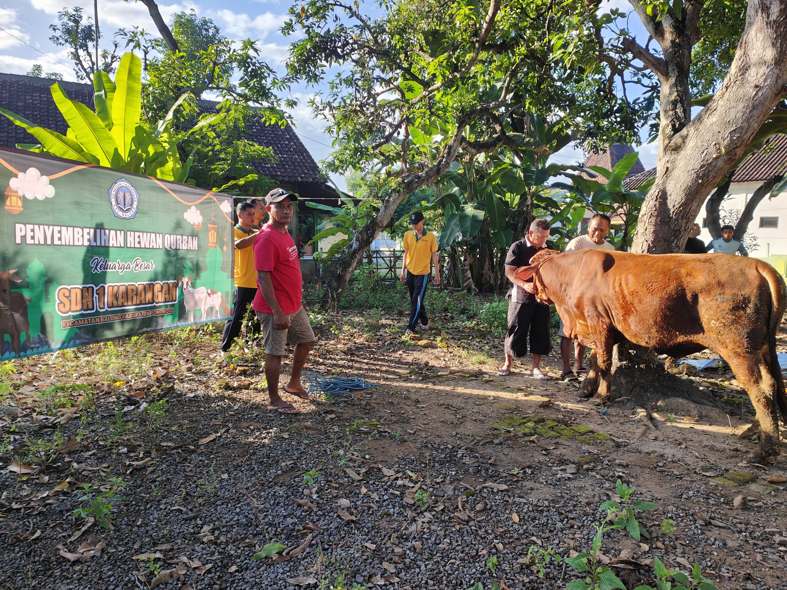 Idul Adha 1446 H SDN 1 Karangan